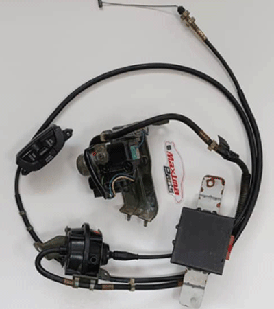 کروز کامل ماکسیما